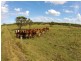 Welcome Creek QLD 4670