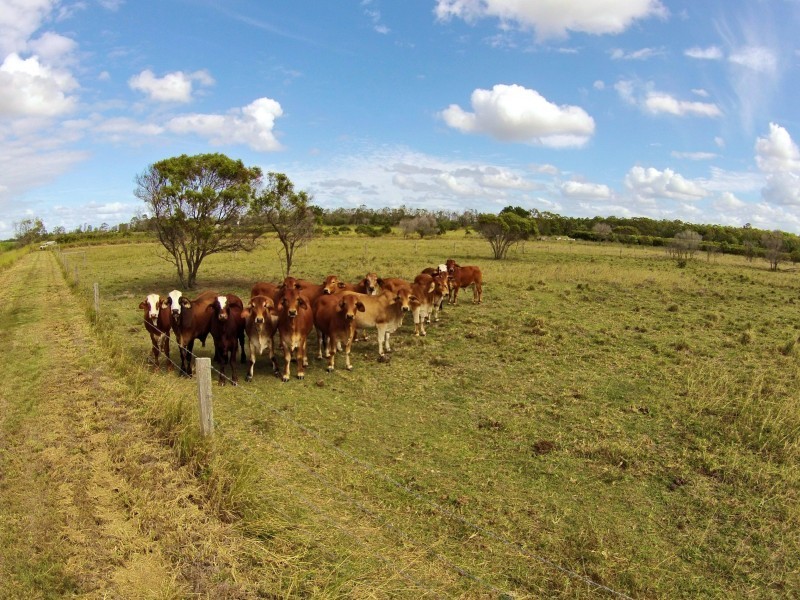 Welcome Creek QLD 4670