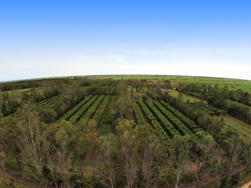Welcome Creek QLD 4670