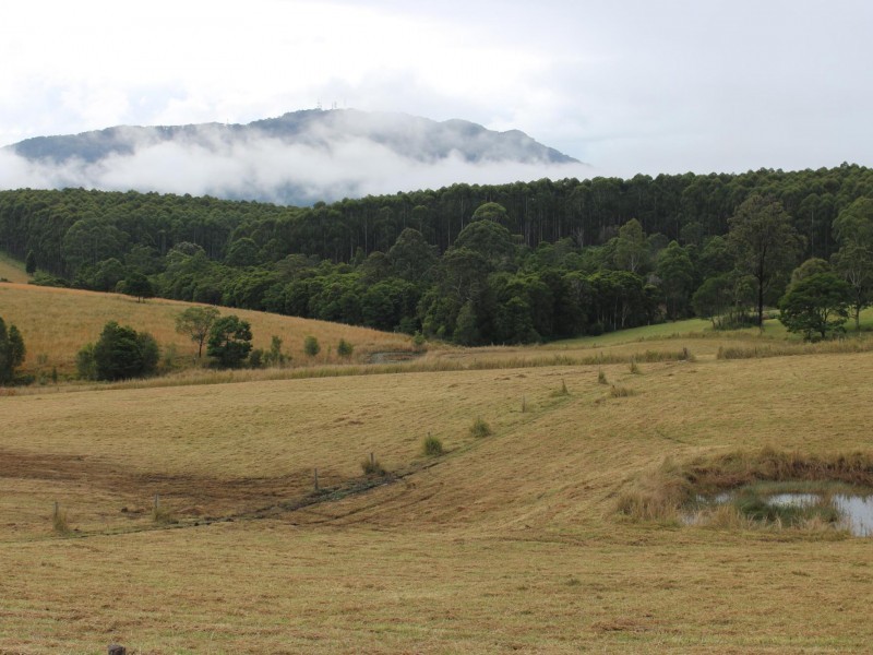 Eungai Rail NSW 2441