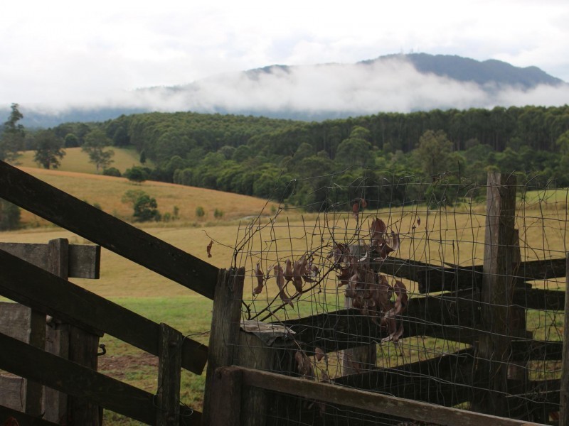 Eungai Rail NSW 2441