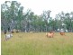 Pilton QLD 4361