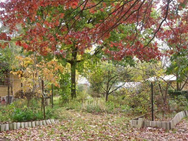 Hepburn Springs VIC 3461