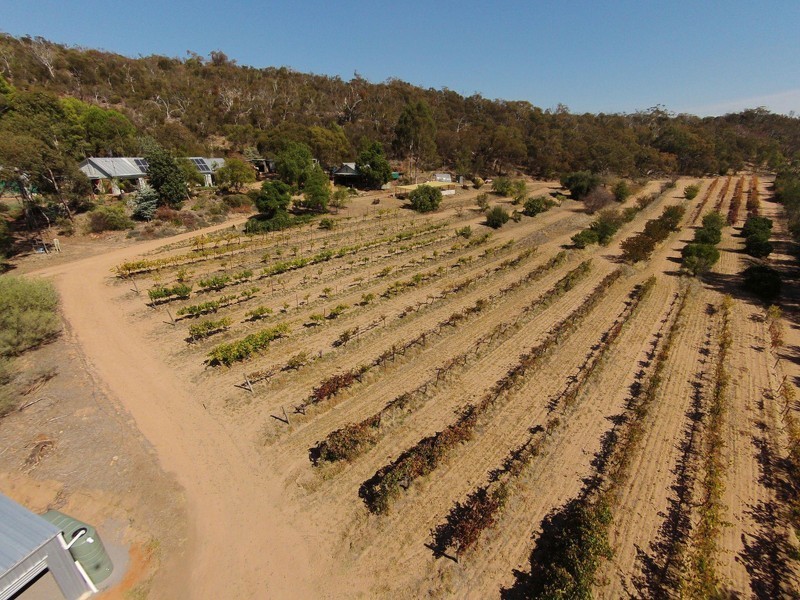 Mount Bruno VIC 3675