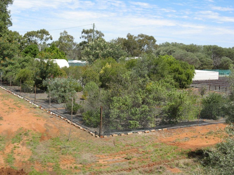 Charleville QLD 4470