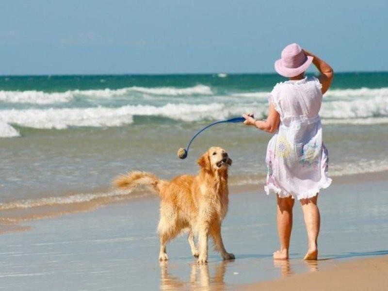 Little Mountain QLD 4551