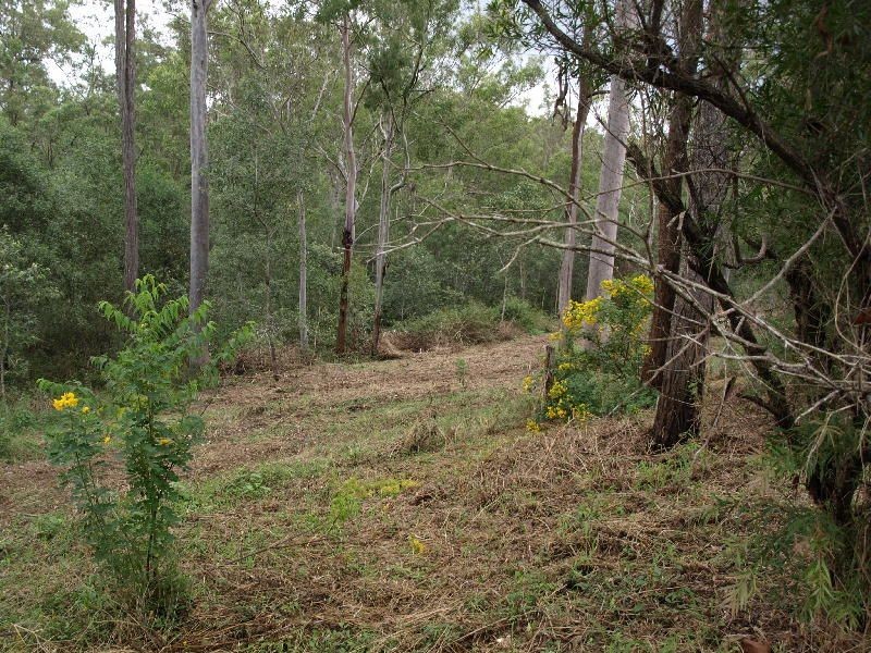 55 Bunya Street, Mount Crosby QLD 4306