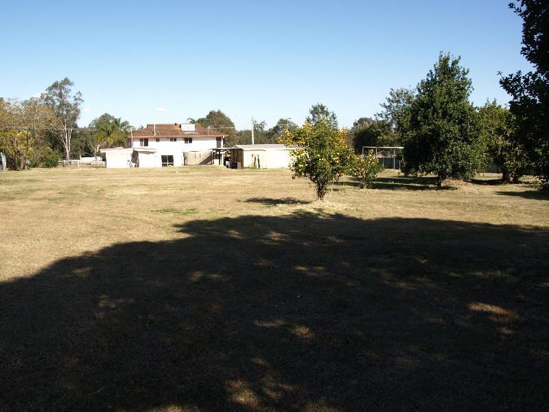 11 Wisteria Street, Walloon QLD 4306