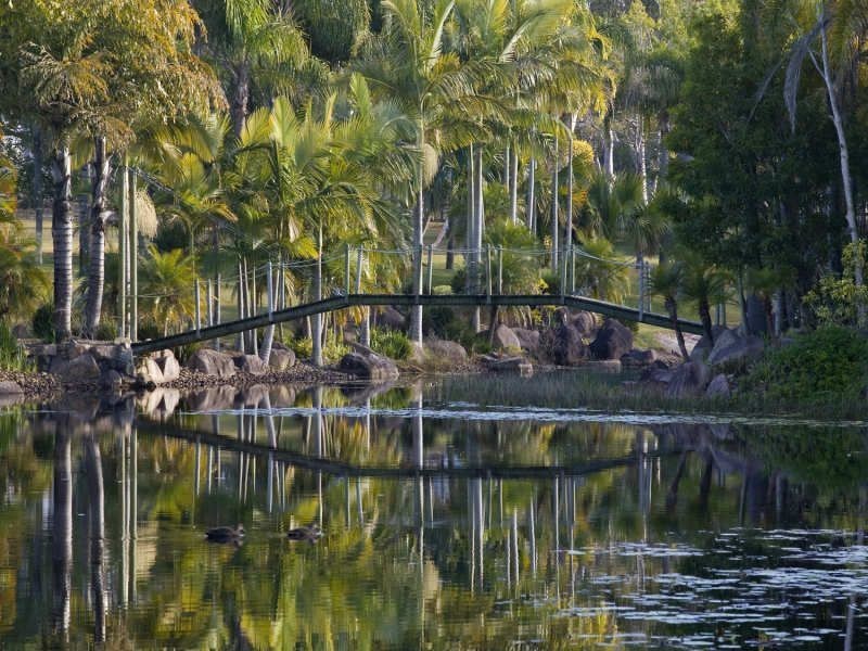 89 Oakridge Street, Burbank QLD 4156