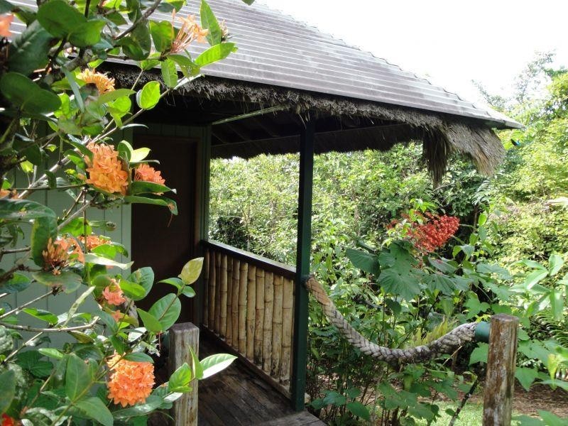 2060 Cape Tribulation Road, Daintree QLD 4873