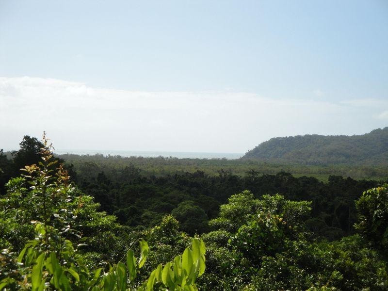 2060 Cape Tribulation Road, Daintree QLD 4873