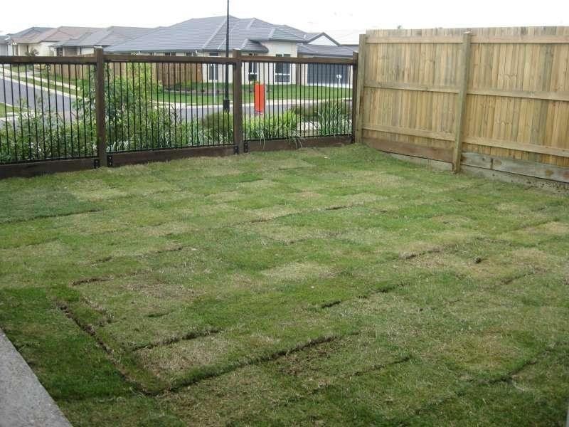 1/20 Nutmeg Drive, Griffin QLD 4503