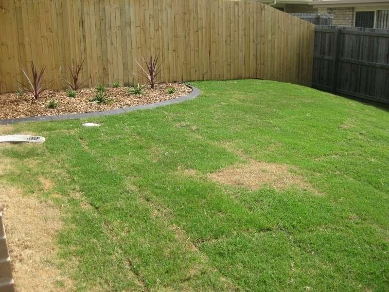 2/8 Telopea Place, Morayfield QLD 4506