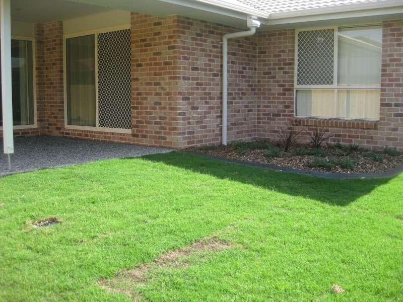 29 Newmarket Drive, Morayfield QLD 4506