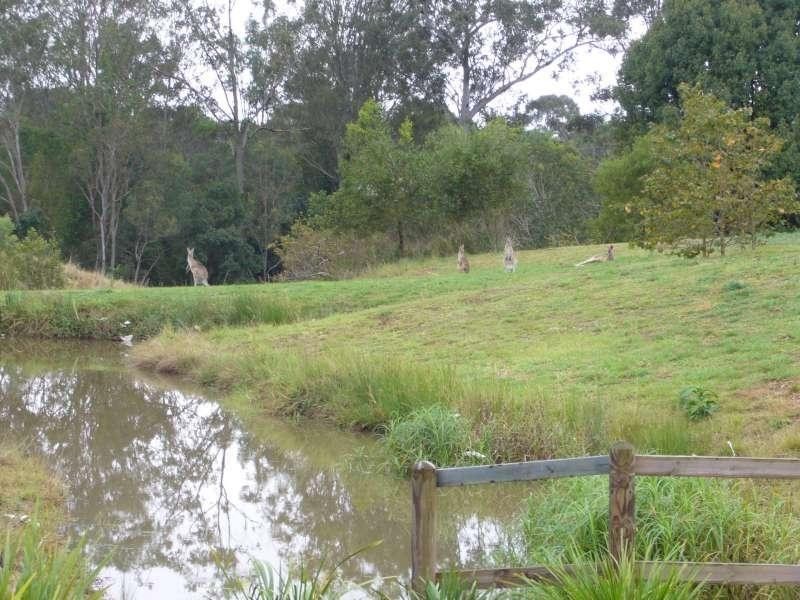 45 Almond Way, Bellmere QLD 4510