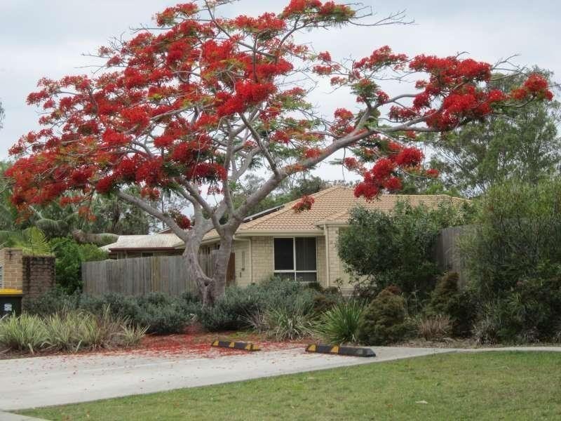 20/51 Silkyoak Drive, Morayfield QLD 4506