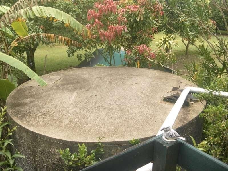 33 Vaughan Road, Elimbah QLD 4516