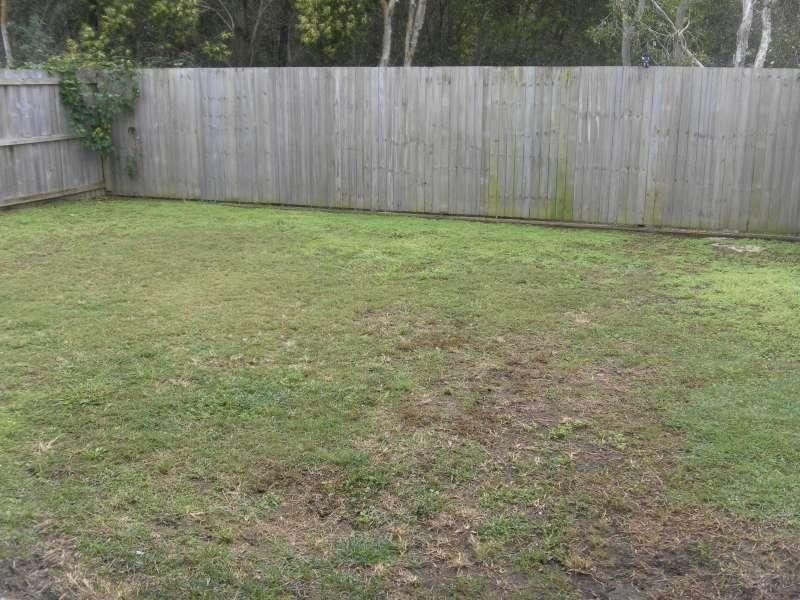 42 Waterlilly Court, Rothwell QLD 4022