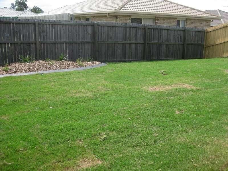 1/8 Telopea Place, Morayfield QLD 4506