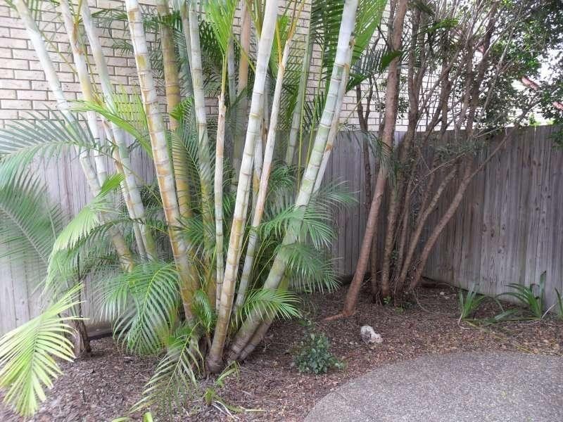 57/17 Burpengary Road, Burpengary QLD 4505