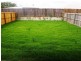 2/14 Scribbly Gum Circuit, Caboolture QLD 4510