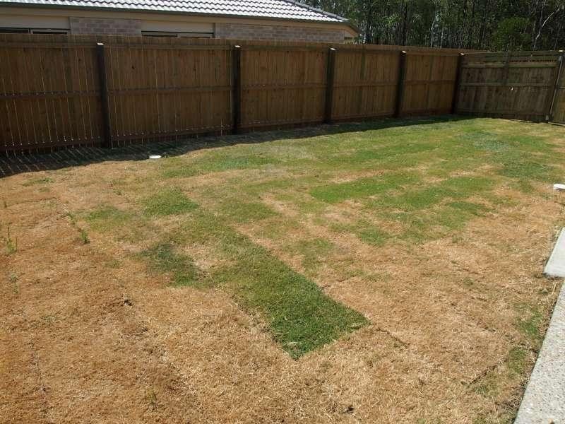 2/43-45 Feather Court, Morayfield QLD 4506