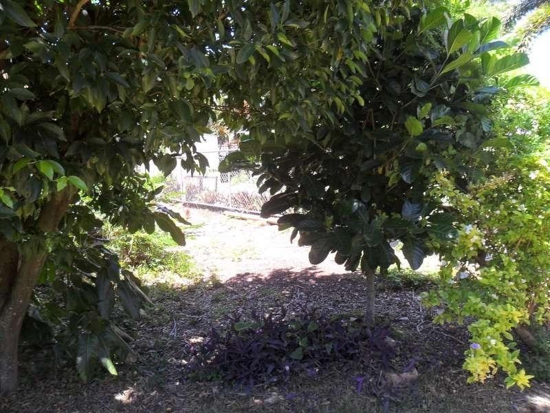 31 Queen Street, Scarborough QLD 4020