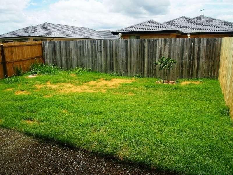 1/10 Waterbird Crescent, Caboolture QLD 4510