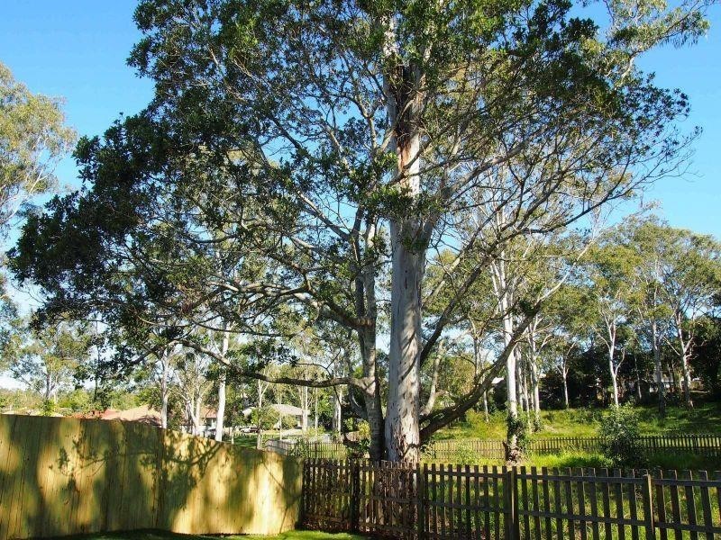 1/37 Desmond Street, Narangba QLD 4504