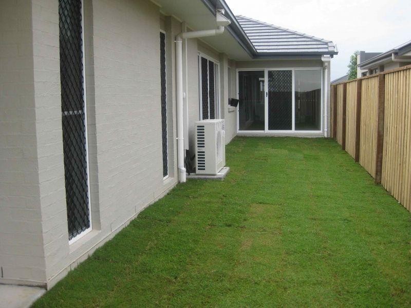 31 Langer Circuit, North Lakes QLD 4509