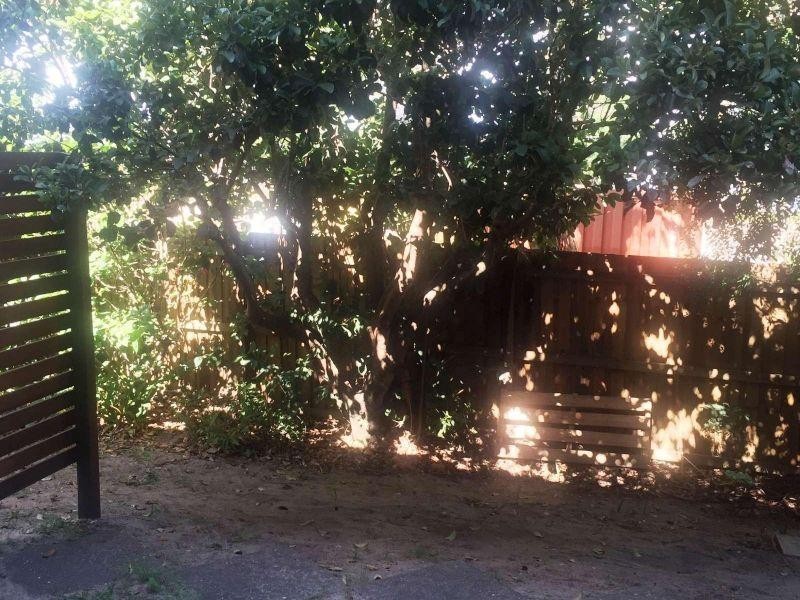 4/10 Kate Street, Woody Point QLD 4019