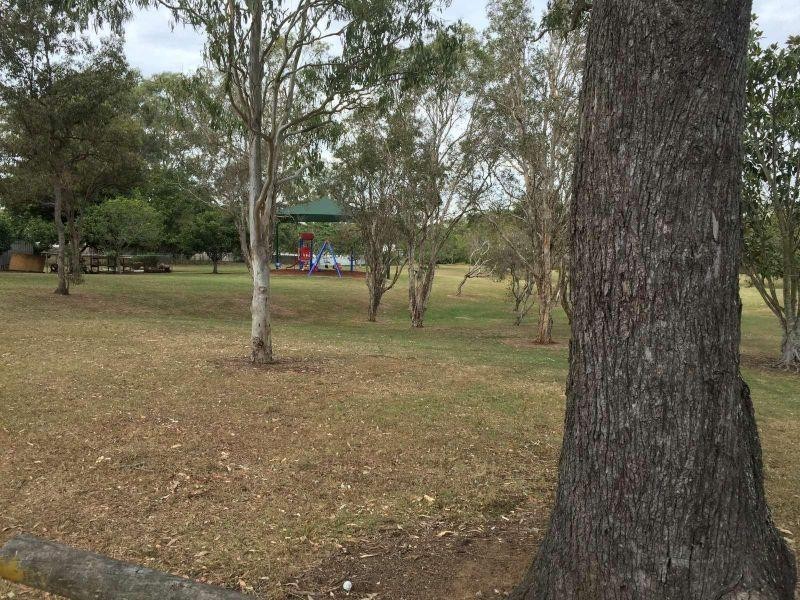 29 Burralong Street, Deagon QLD 4017