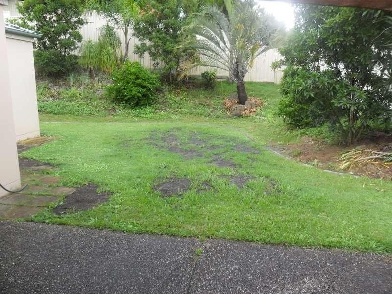 15 Ingles Circuit, Arundel QLD 4214