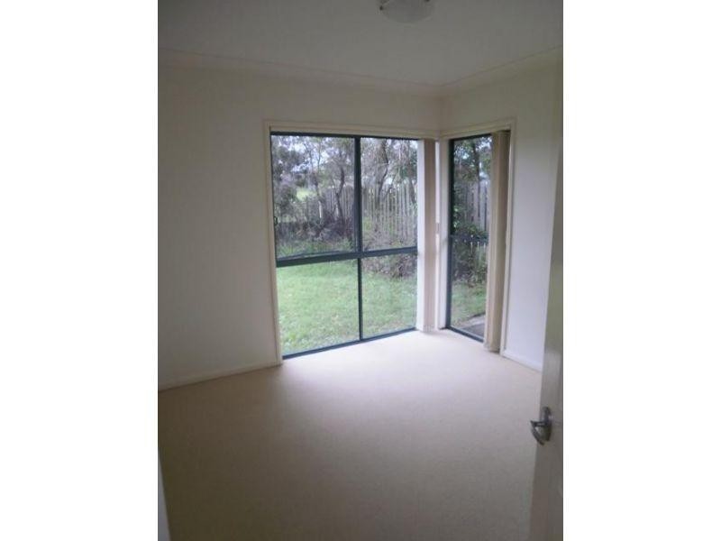 53 Vivacity Drive, Upper Coomera QLD 4209