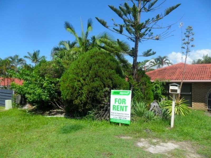 16 Allspice Drive, Ashmore QLD 4214