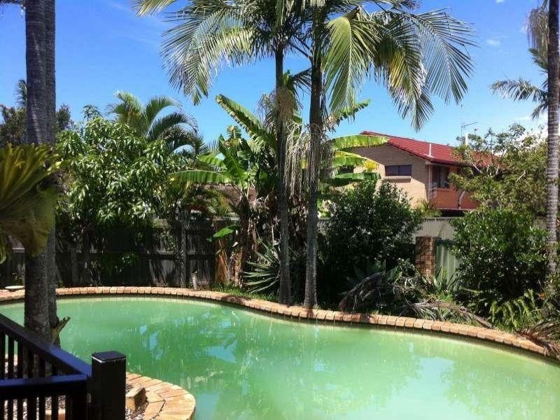 16 Allspice Drive, Ashmore QLD 4214