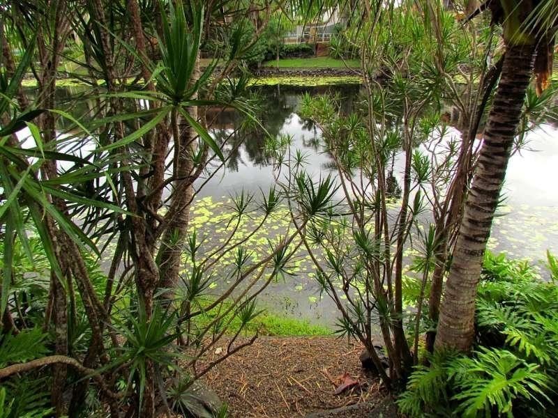 12 Denison Court, Robina QLD 4226