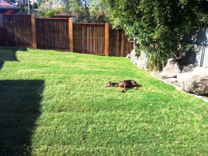 2/4 Paramount Place, Oxenford QLD 4210