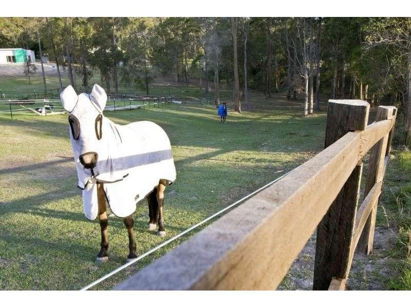 28 Lesley Anne Court, Maudsland QLD 4210