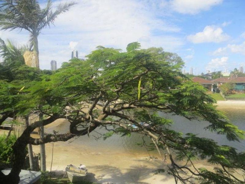 2/109 Bundall Road, Bundall QLD 4217