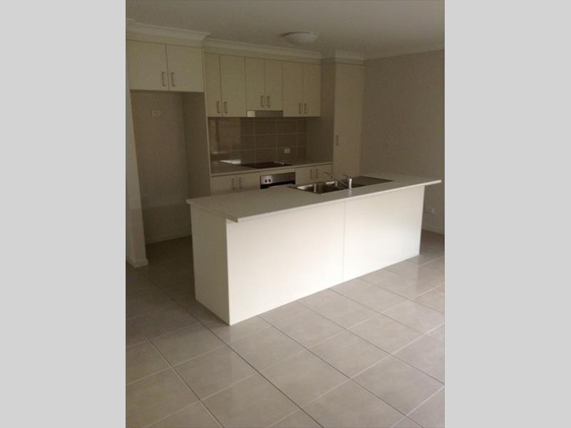 41 Custodian Crescent, Ormeau QLD 4208