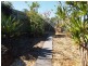 1/3 Ruth Anne Close, Labrador QLD 4215
