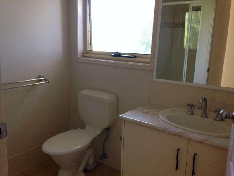 23 Paddy Place, Oxenford QLD 4210