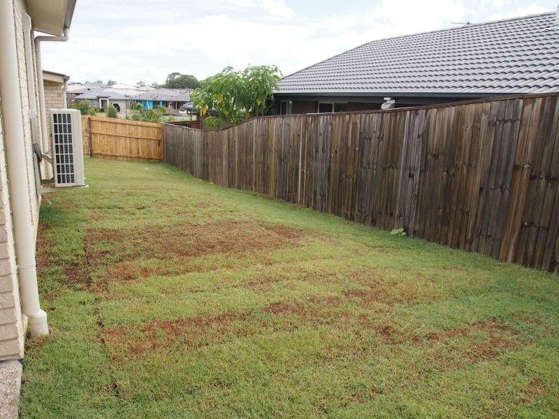 33 Milly Circuit, Ormeau QLD 4208