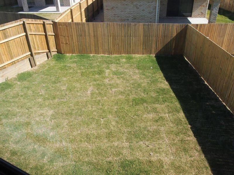 17 John Crescent, Pimpama QLD 4209