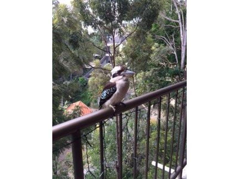 2/24 Panorama Drive, Currumbin QLD 4223