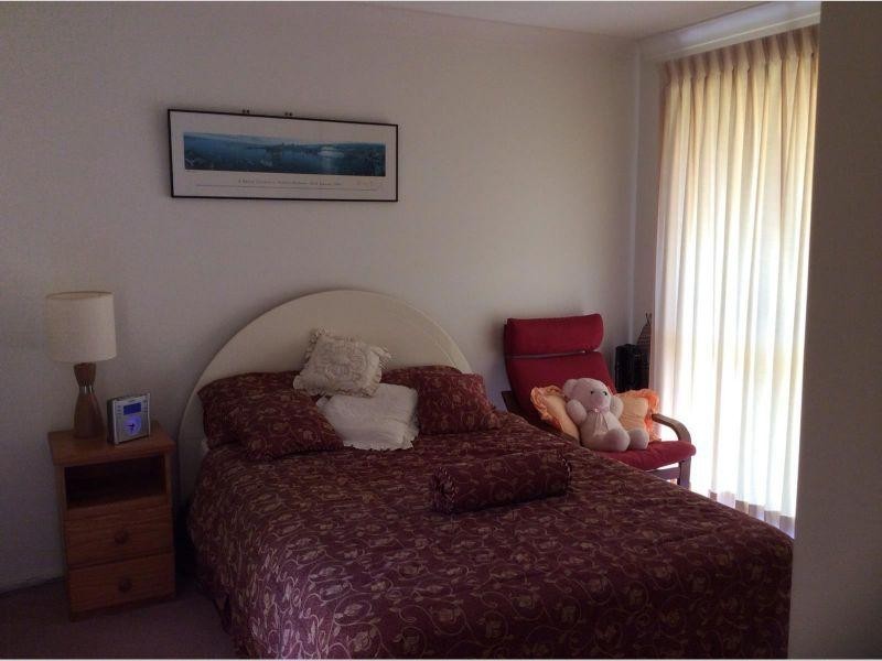 19 Pacific Pines Boulevard, Pacific Pines QLD 4211