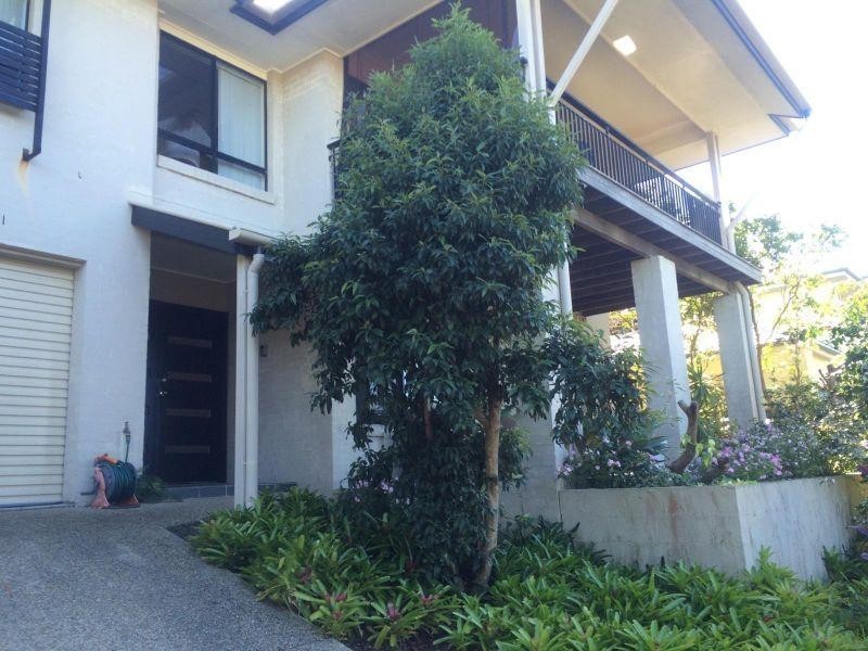 20 Drumbeat Place, Coomera QLD 4209