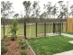 3 Hampton Lane, Lot 659, Pimpama QLD 4209