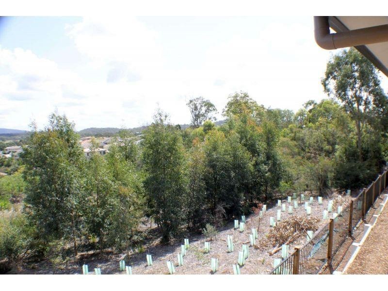 17 Cairnlea Drive, Pimpama QLD 4209